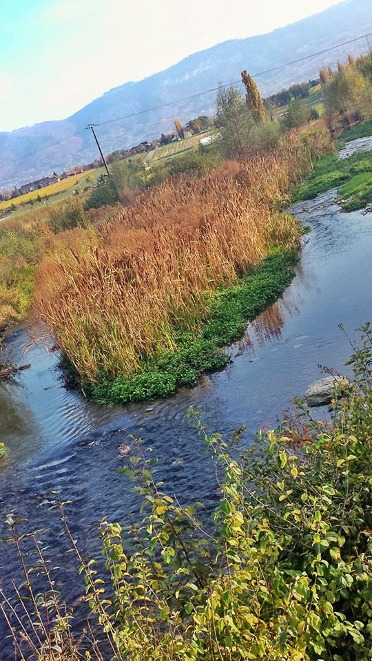 Lancy – Perly par le bord de&nbsp;l&rsquo;Aire