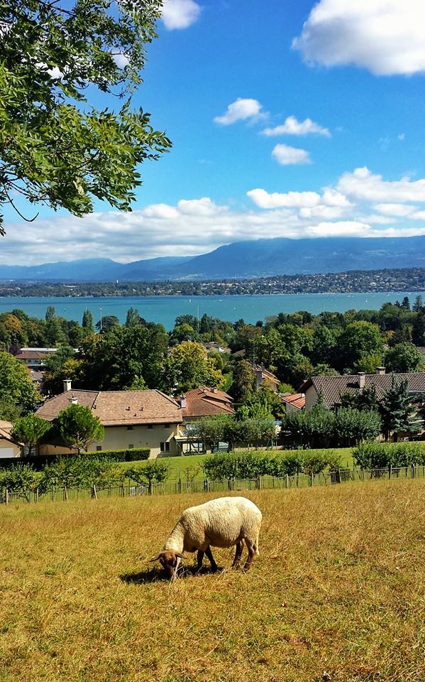 Jardin Botanique – Château de Penthes –&nbsp;Pregny