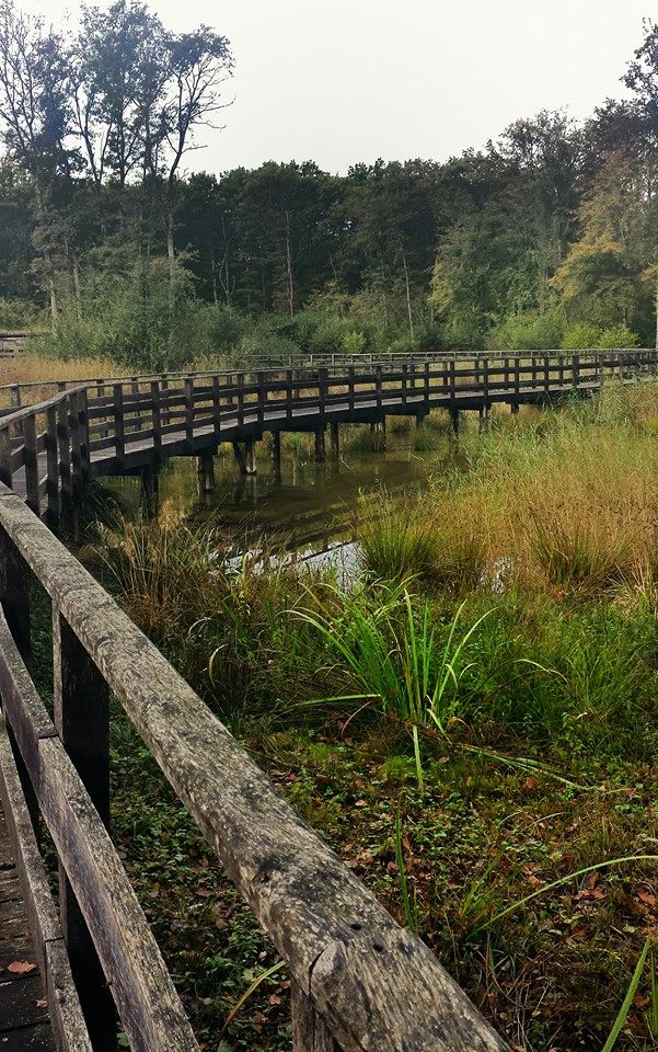 Versoix – Les Douves –&nbsp;Genthod