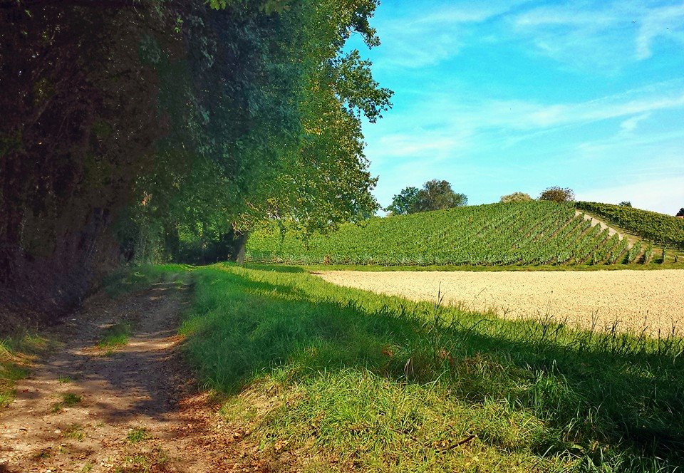 Avusy – Soral –&nbsp;Laconnex