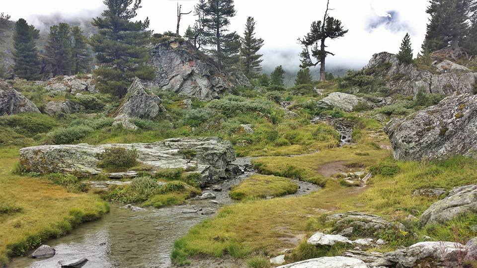 Siviez – &laquo;&nbsp;Jardin japonais&nbsp;&raquo; –&nbsp;Siviez