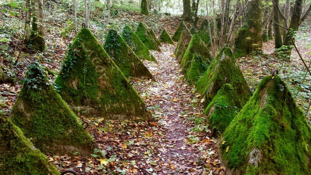 Bassins – Sentier des Toblerones –&nbsp;Gland