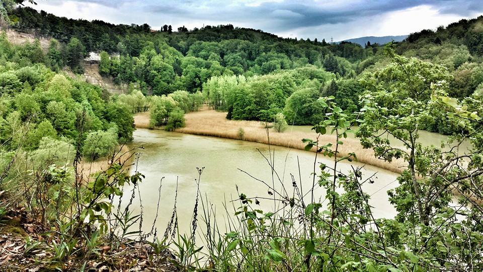 Fribourg – Pisciculture – Pérolles –&nbsp;Fribourg
