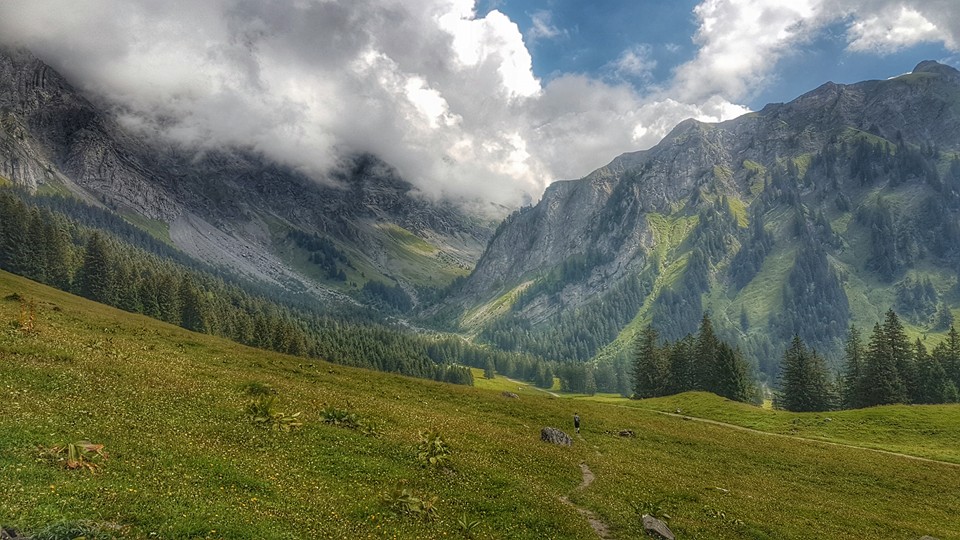 Barboleuse – Les Chaux – Solalex –&nbsp;Barboleuse