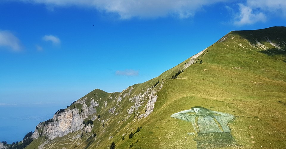 14225355_10209038069562948_2328211770848681545_n