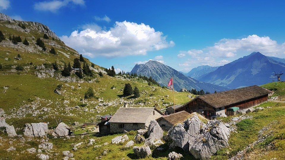 14292358_10209038069882956_4933600794308131825_n