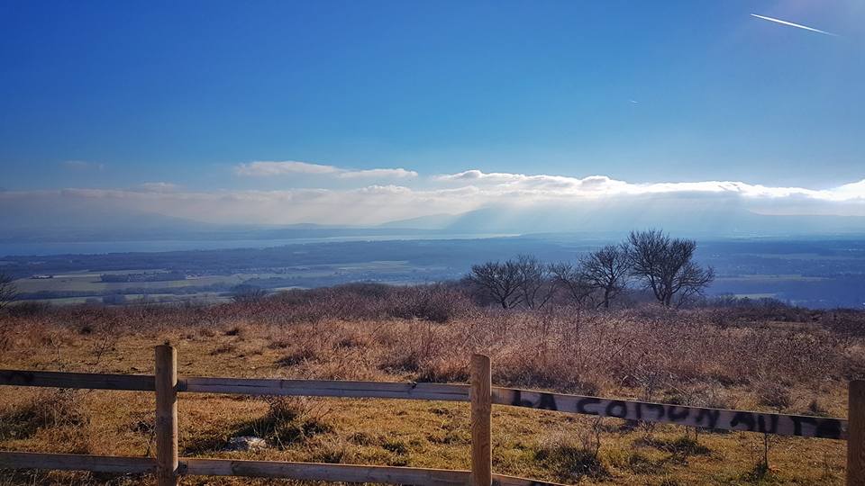 15822931_10210147421696058_7540537265541492312_n