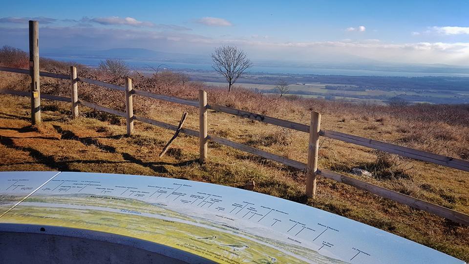 15823475_10210147421656057_766615377044779271_n