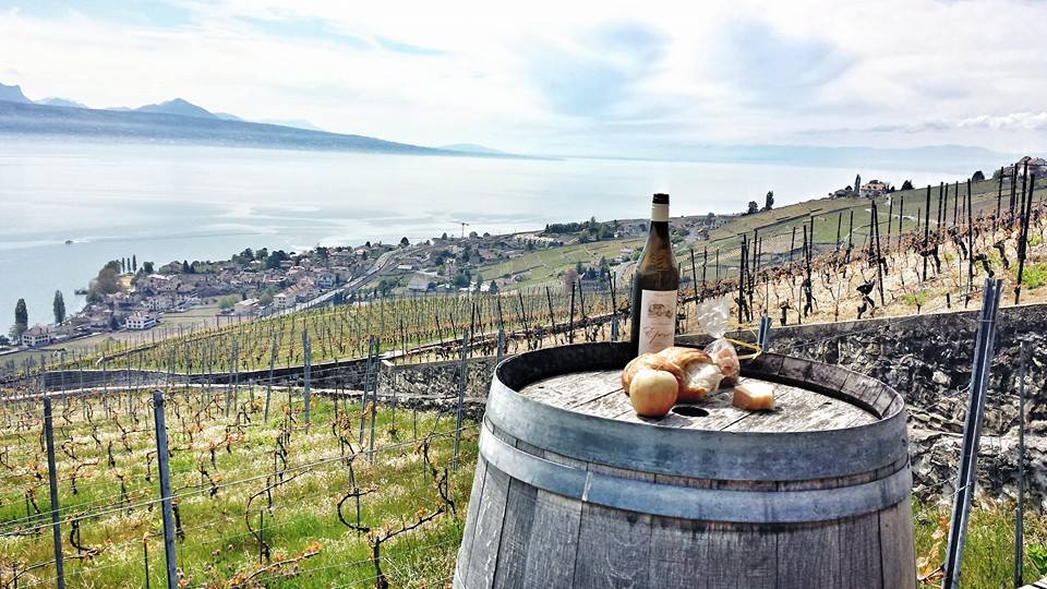 Cully – Tour de Gourze – Lac de&nbsp;Bret