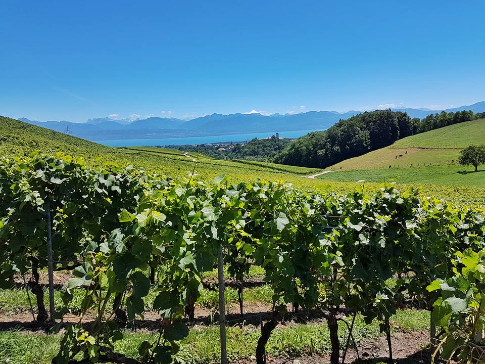 Bière – St-Livres – Yens –&nbsp;Morges