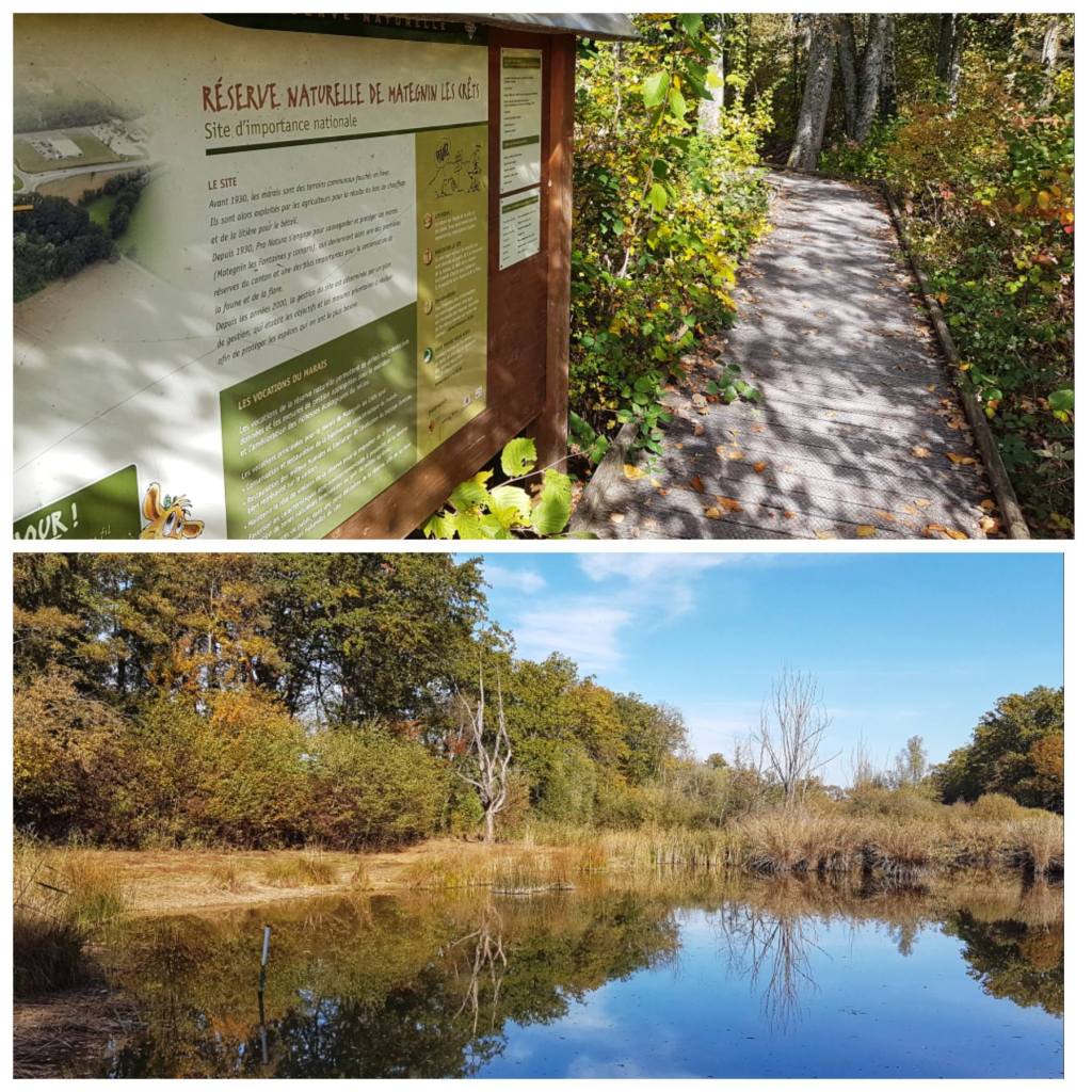 Meyrin – Marais de Mategnin – Jardin&nbsp;Alpin
