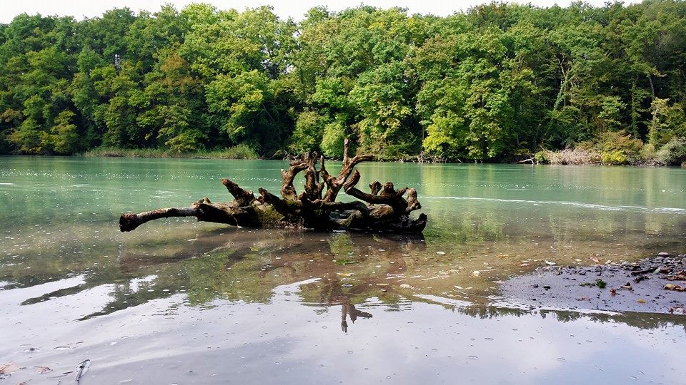 Jonction – Le Lignon par le bord du&nbsp;Rhône