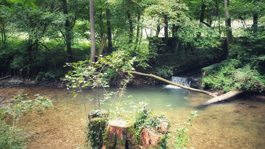 Bossy – Sauverny –&nbsp;Versoix