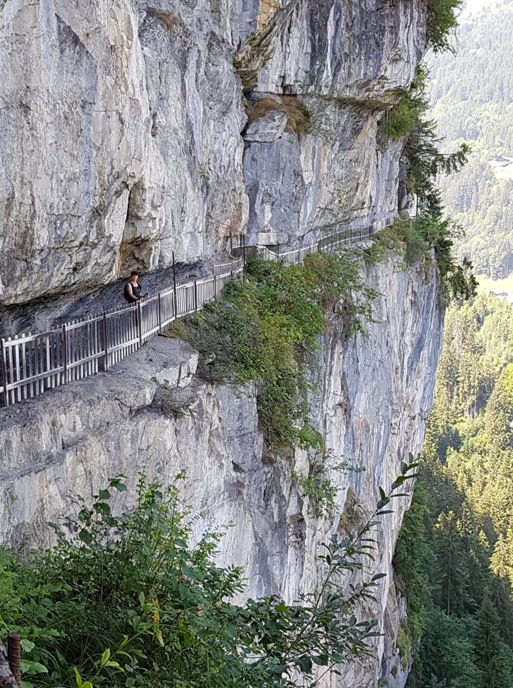 Champéry – Galerie Défago – Torrent de Tière –&nbsp;Champéry