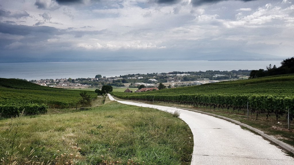 Bursins – Châtel –&nbsp;Rolle