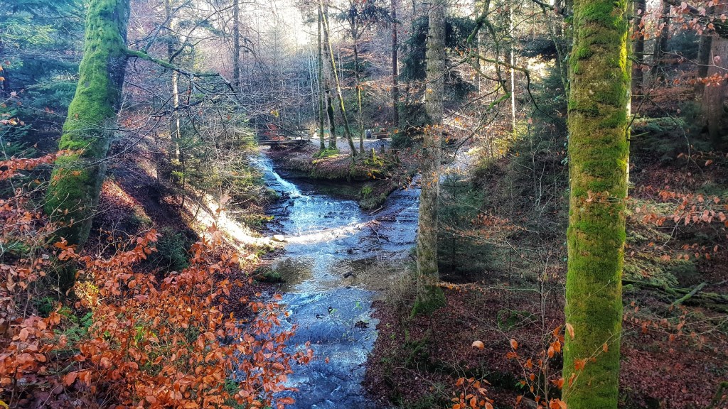Echallens – Epalinges, par les bords du Talent et du&nbsp;Flon