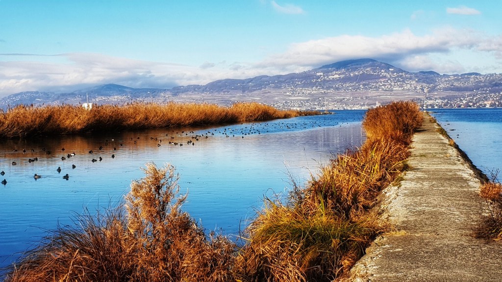 Villeneuve – Réserve des&nbsp;Grangettes