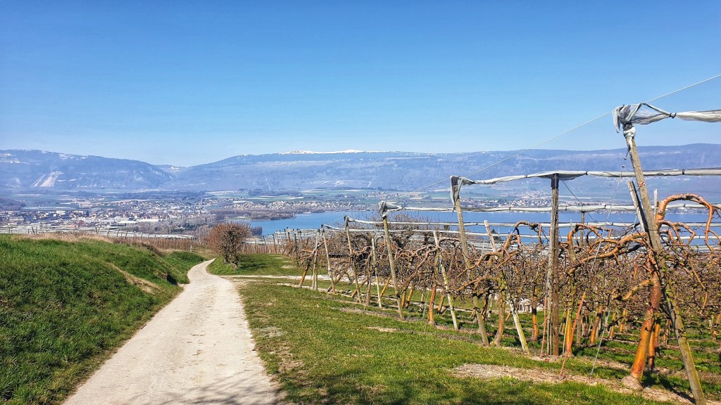 Yverdon – Yvonand plage –&nbsp;Yverdon