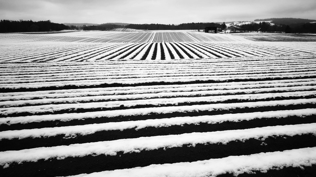 Fribourg – Düdingen –&nbsp;Fribourg