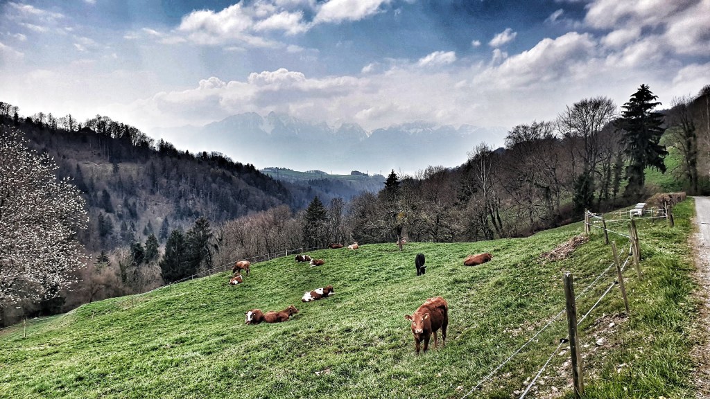 Oron-la-Ville – Châtel-St-Denis –&nbsp;Vevey