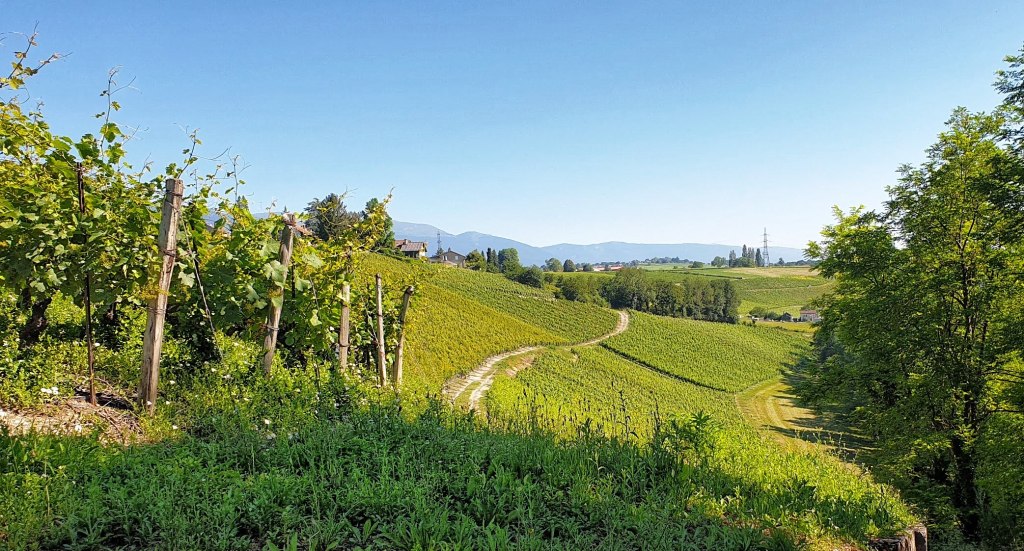 La Plaine – Russin – Meyrin&nbsp;Champs-Fréchets