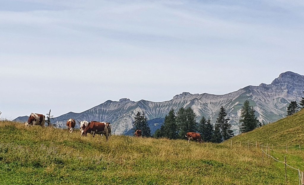 Gstaad – Rougemont –&nbsp;Gstaad
