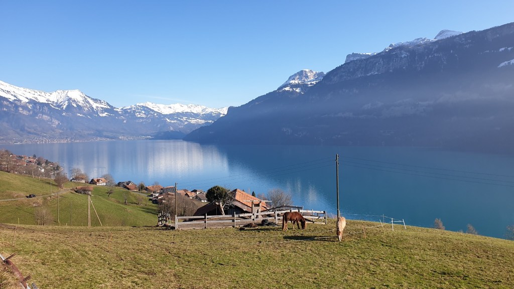 Interlaken – Oberried –&nbsp;Brienz