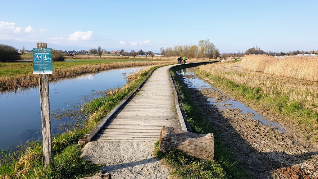 Marais de Sionnet –&nbsp;Choulex