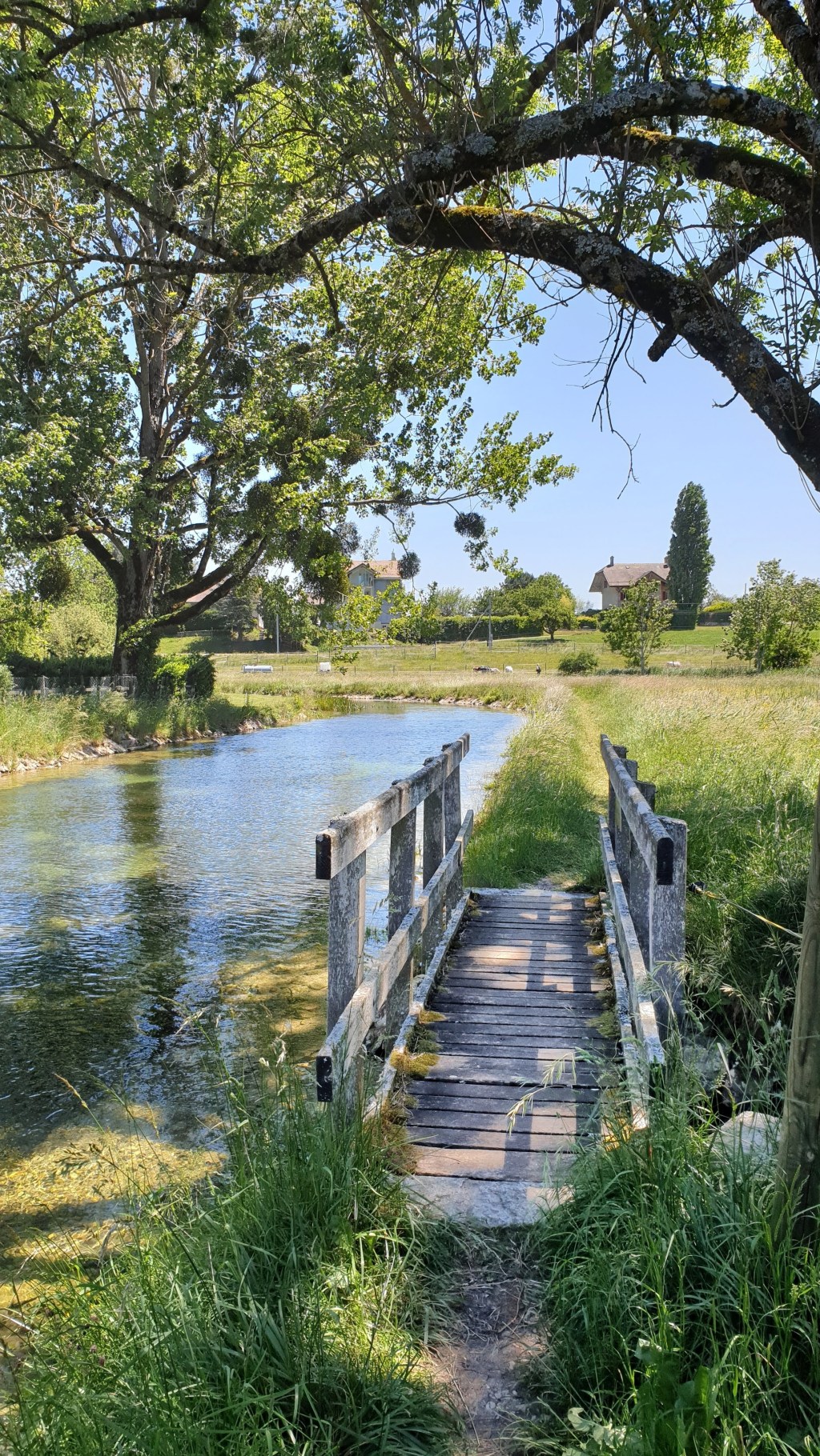 Le Pont – Col du Mollendruz –&nbsp;L&rsquo;Isle