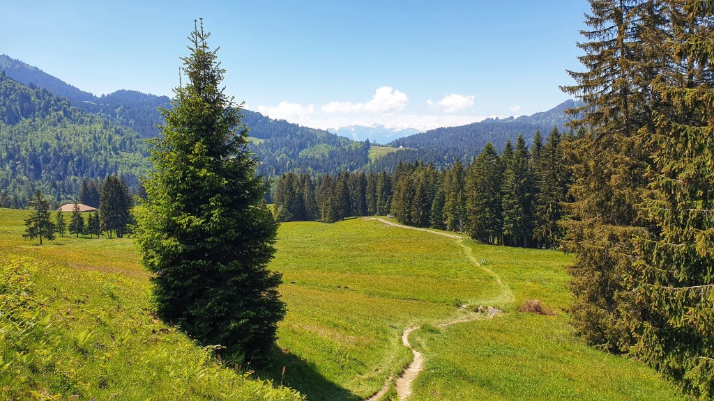 Les Paccots – Tour de la Corbetta –&nbsp;Châtel-St-Denis