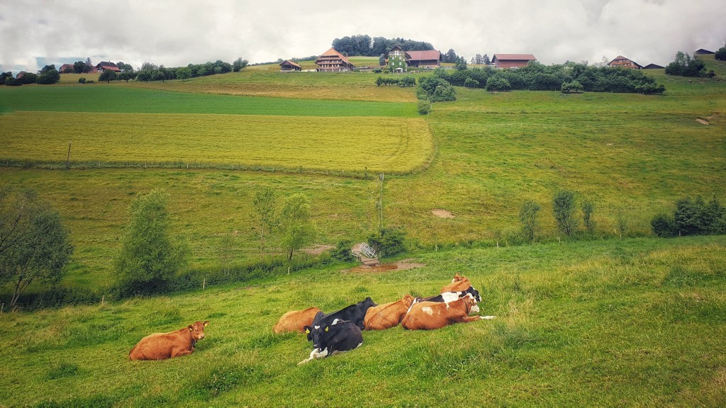 Flamatt – Köniz –&nbsp;Berne