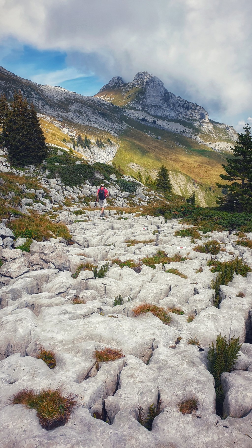 Berneuse – Tour de Famelon – Col de la Pierre du Moëllé – Vers Bas –&nbsp;Leysin