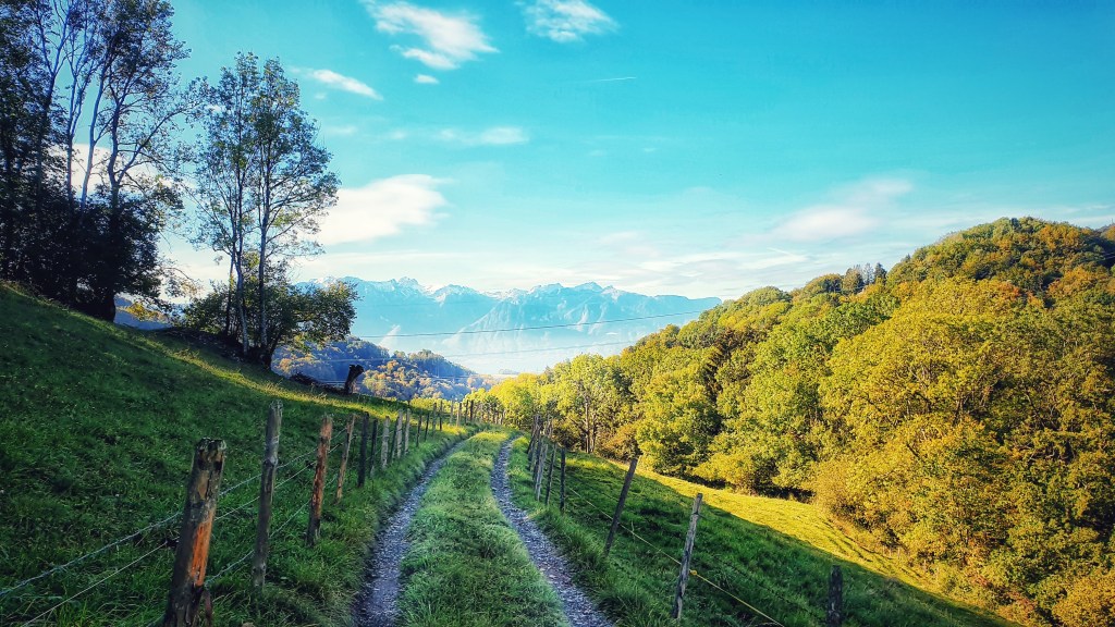 Châtel-St-Denis – Vevey