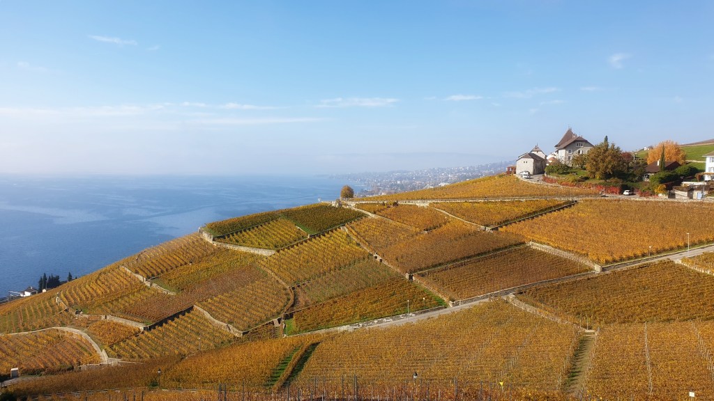 Lutry – Cully – Lutry par le&nbsp;Lavaux
