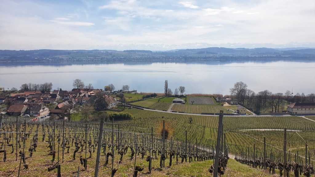 Tour du Mont Vully (sentier&nbsp;historique)