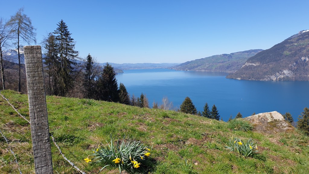 Interlaken – Meielisalp – Krattigen –&nbsp;Spiez