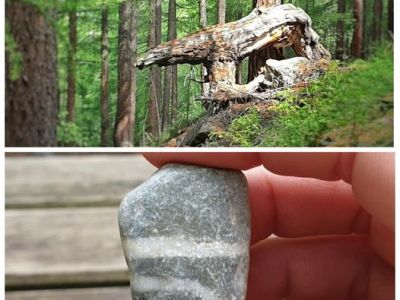 La bête de la Vallée de&nbsp;Saas