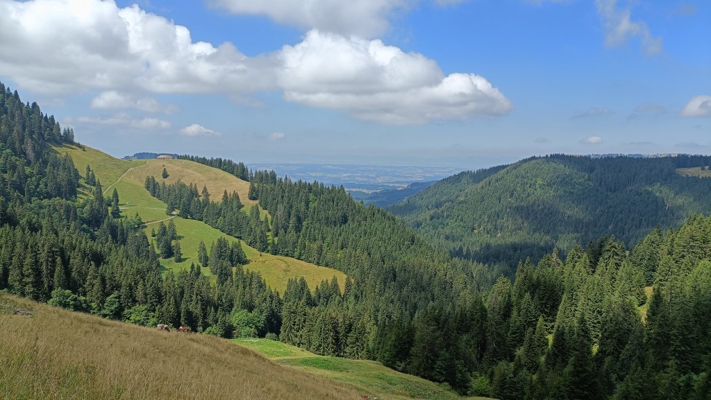 Les Paccots – Belle Chaux – Saletta – Les&nbsp;Paccots