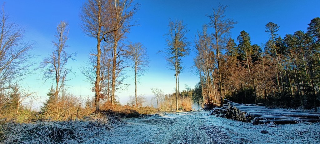 Charbonnières – Mont Gibloux – Vuisternens-en-Ogoz