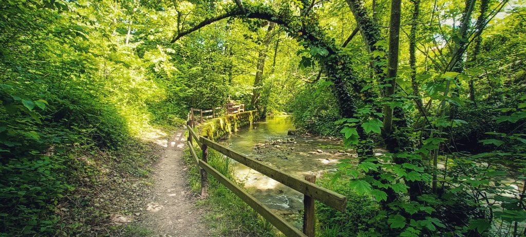 Apples – sentier de la Morges –&nbsp;Morges