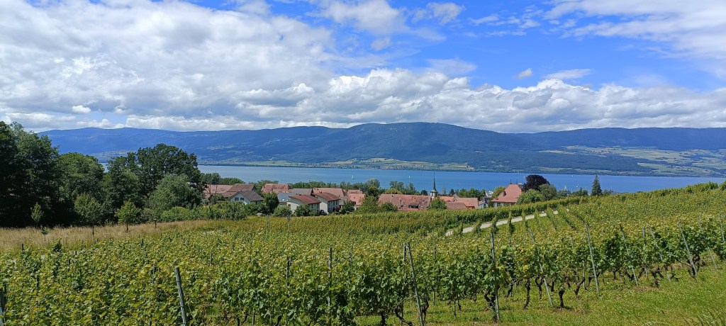 Estavayer-le-Lac – Tour de la Molière –&nbsp;Cheyres