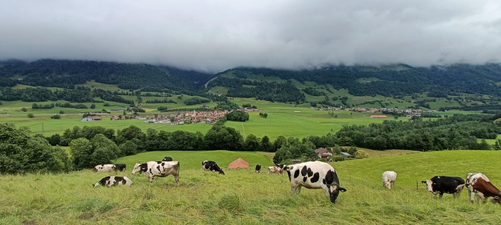 Montbovon – Lessoc – Villars-sous-Mont