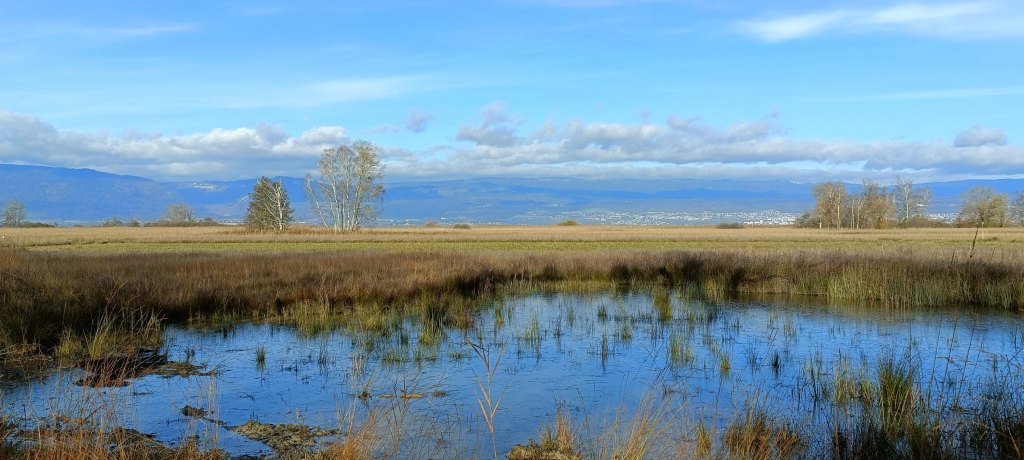 Portalban – Estavayer-le-Lac