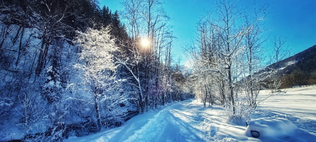 Fiesch – Fieschertal – Fiesch&nbsp;(hivernal)