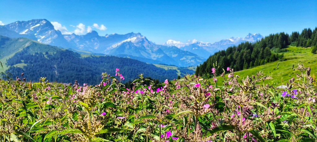 Bretaye – Ensex – Col de la Croix – Gorges de la Gryonne – Sentier des 27 passerelles – Villars-sur-Ollon