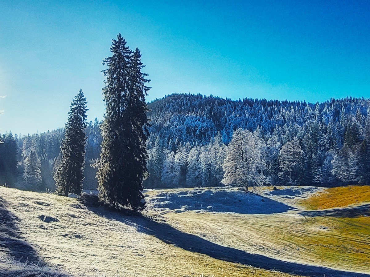 Pétra Félix – Mollendruz – L&rsquo;Isle&nbsp;(hivernal)