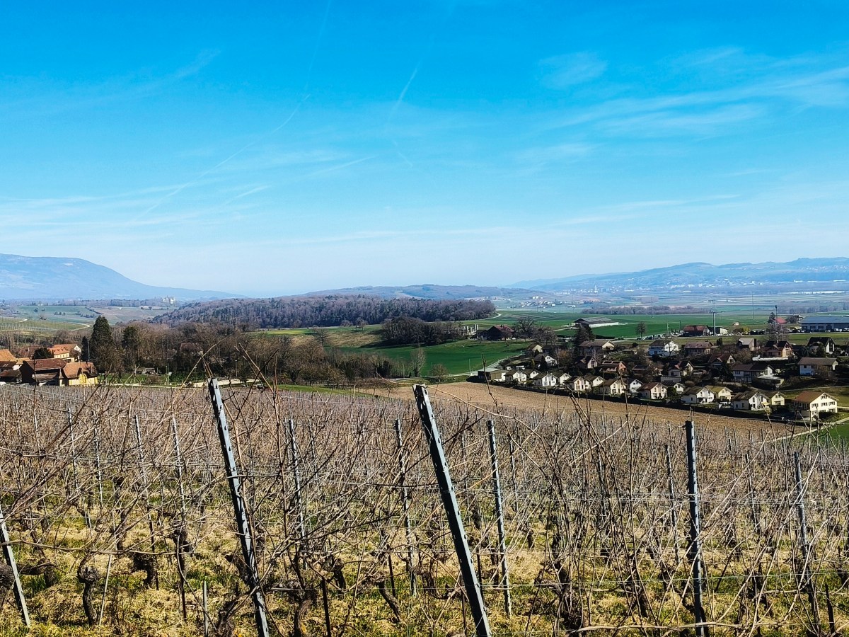 Baulmes – Rances – Montcherand –&nbsp;Orbe